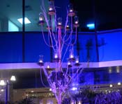wedding planner in delhi ncr